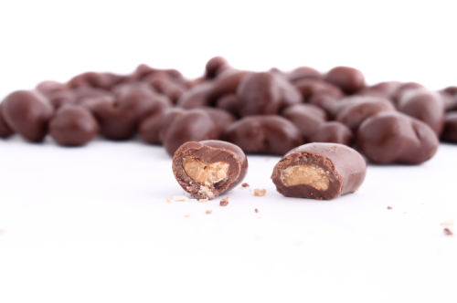 Chocolate Peanut Butter Bites